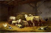 unknow artist Sheep 136 china oil painting reproduction